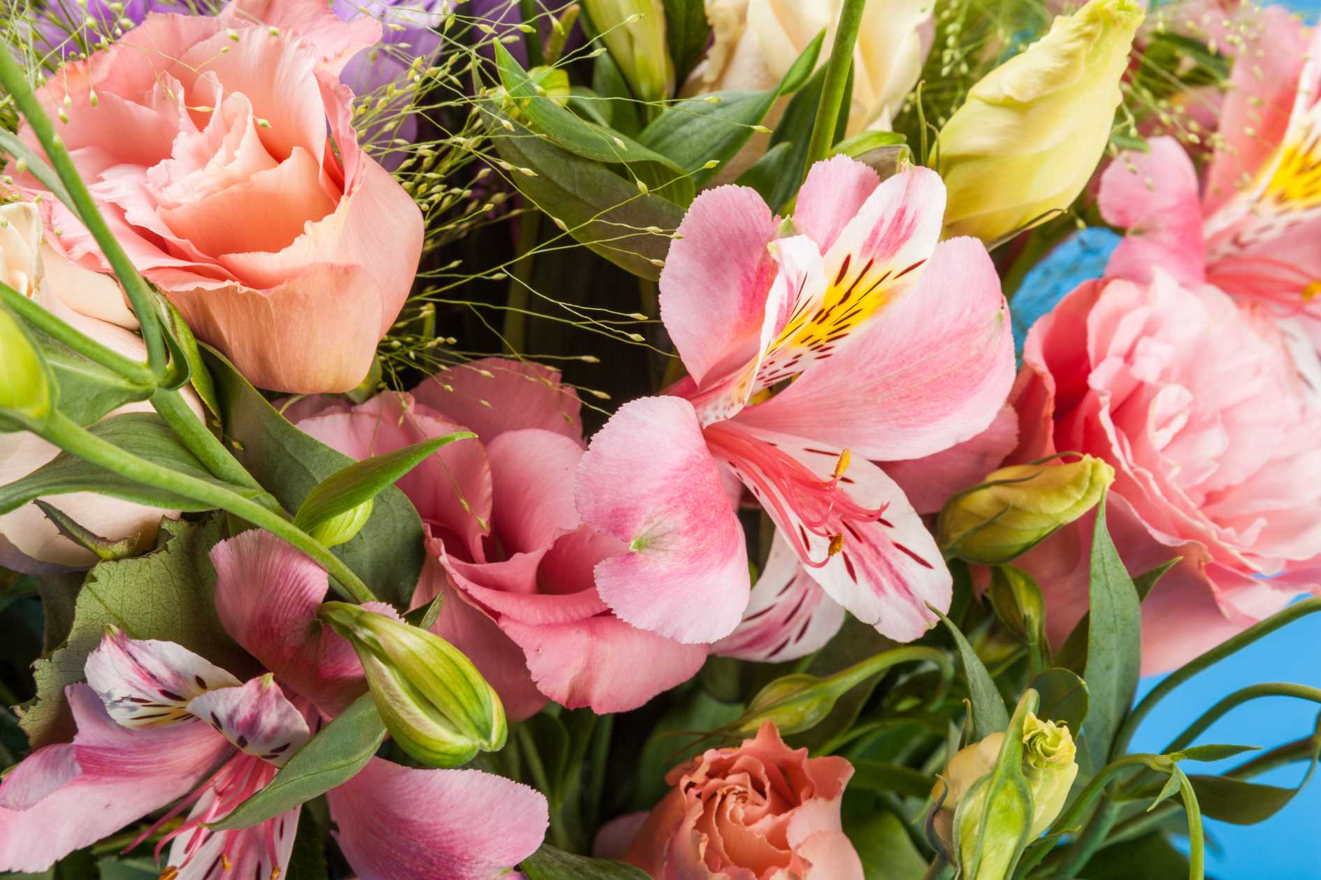Flower Etiquette