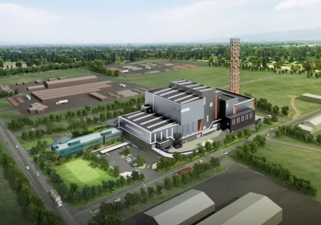 Why Tree Loppers in Sydney Play a Crucial Role in Urban Climate Adaptation